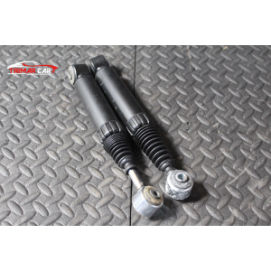 69933 COPPIA AMMORTIZZATORI POSTERIORI DX SX FIAT PUNTO 1 (176)(1993-1999)